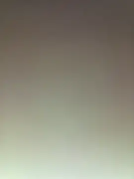 piggylatino live