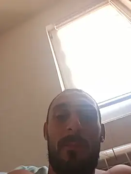 CedaM11 live