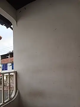 TRANS_COLOMBIA live