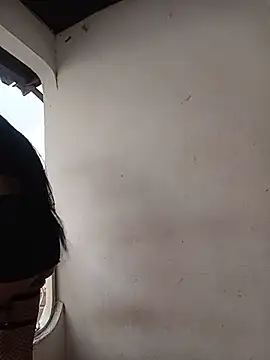 TRANS_COLOMBIA live