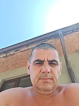sile2000nou live
