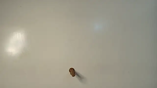 Coco_Bunnie live