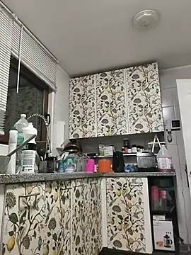 28Conejo31 profile