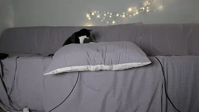 emy_lovee live