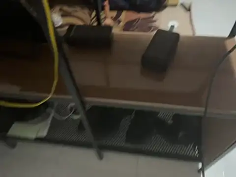Comadrejaja live