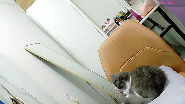 tgirljennie_69 live