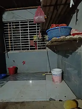 Congnuong live