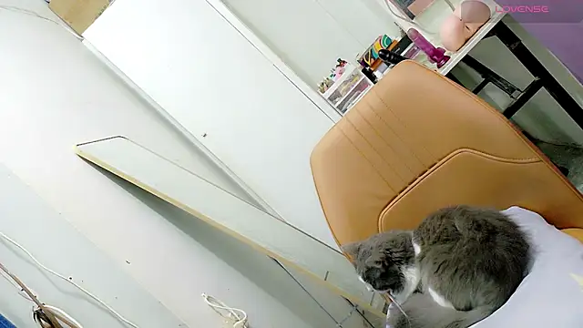 tgirljennie_69 live