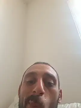 CedaM11 live