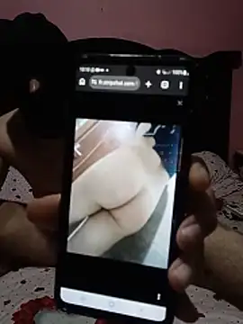 Kamosex live