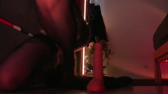 cutie_sensei live
