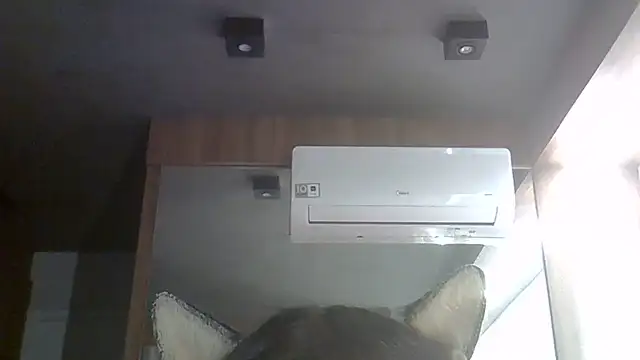 SkinnyKitten live