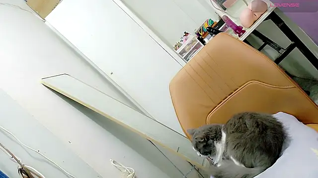 tgirljennie_69 live