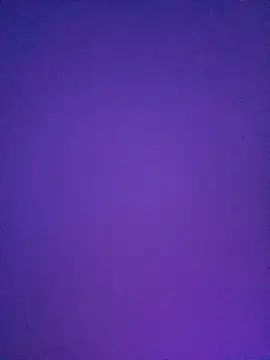 spiceydiddy live