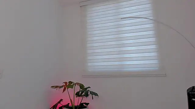 SavannahWildee live