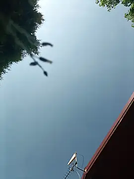 bigcock_marusz live