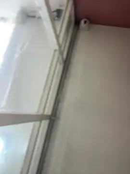 EveRave_Pink live