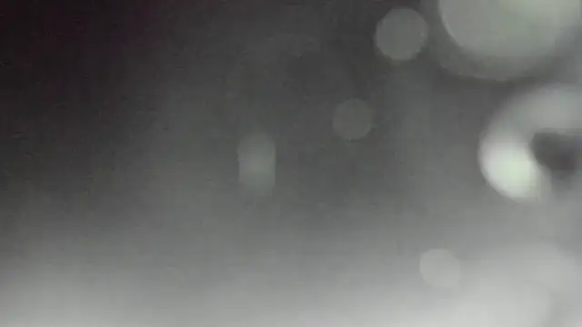Regina_cute_ live