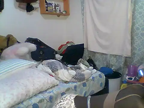Siri_seduce69 live