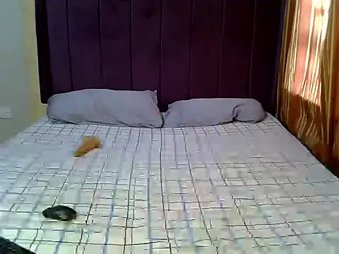 honeey_luxe live