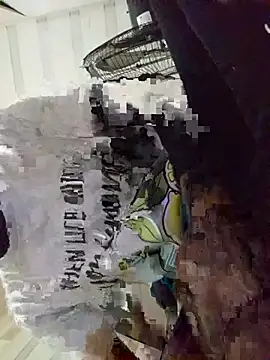 loveofpetitegirls34 live