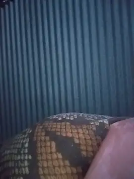 YummyBoobs_ live