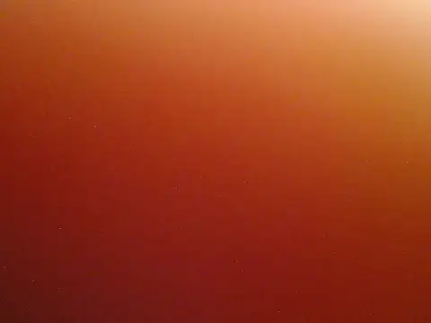 Model_Shalini live