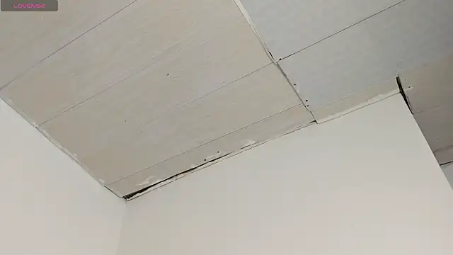 Sophia_Ebony live