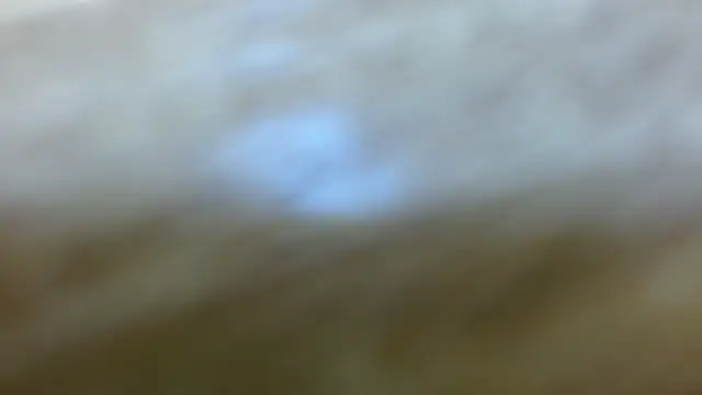 sussy_leon live