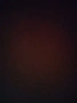 Beauti_Queen_Nilima live