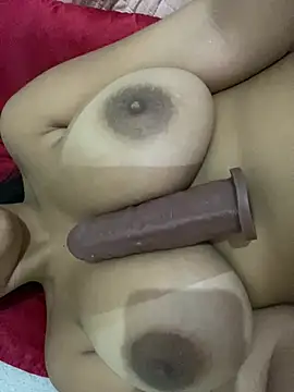 Palominhasafadinha_ live