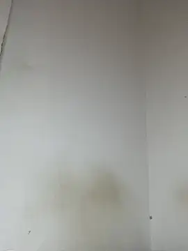 Hot-TEEE live