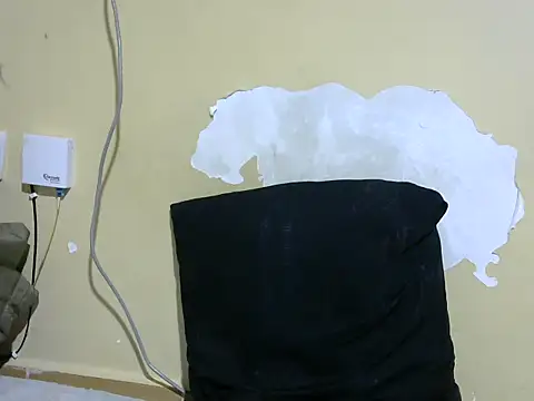 wild_vixen live
