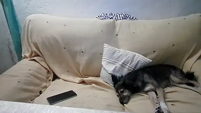 jazmin39 live