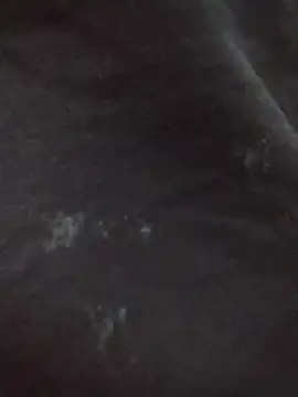 Jena_baby live