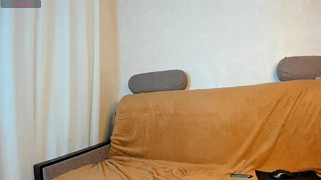 Greys_Fox live