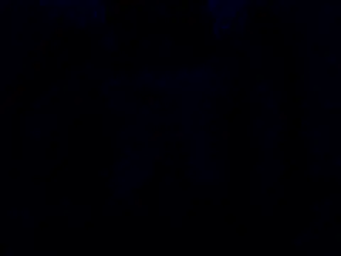sexxypatty live