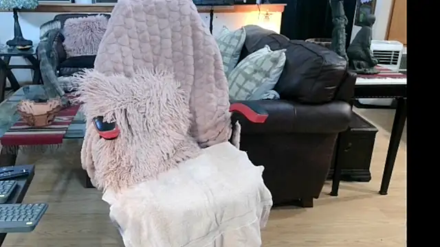 littlepistol01 live