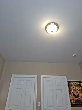 AmethystFoxx live