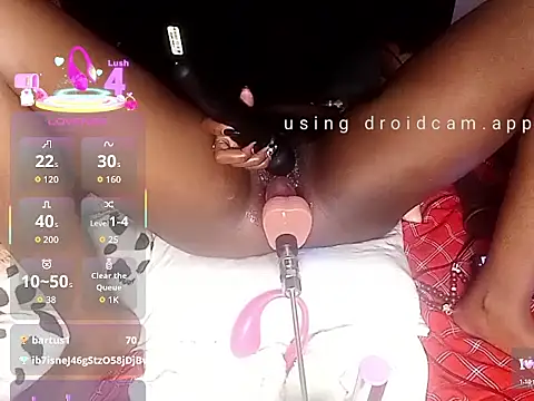 sachivatah live