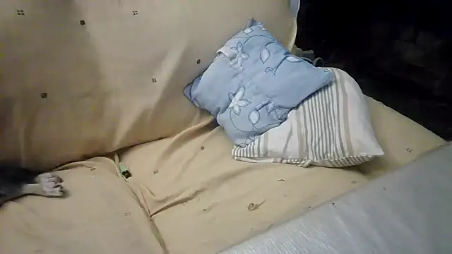 jazmin39 live