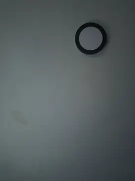 stevo170t live