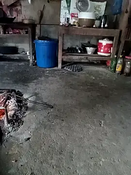 BaoHan22 live