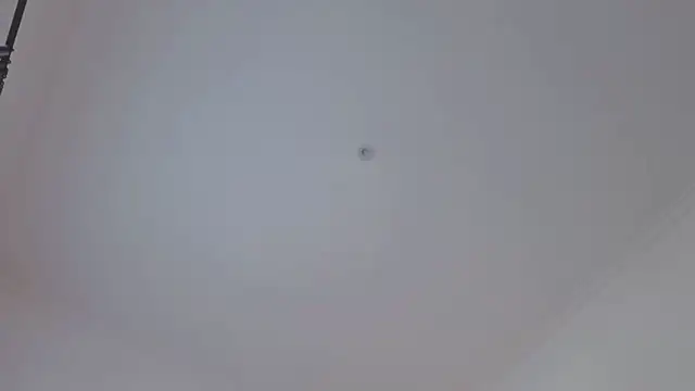 Timissi live