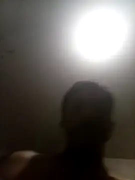 bxbicho20 live
