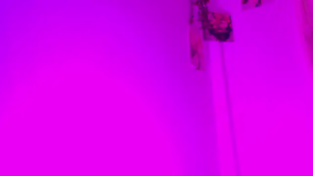 bow_doll live