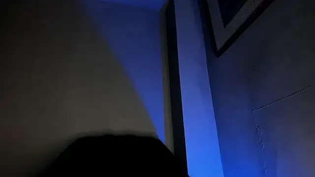 Travisttanner28 live