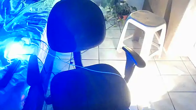 lollaxjf live