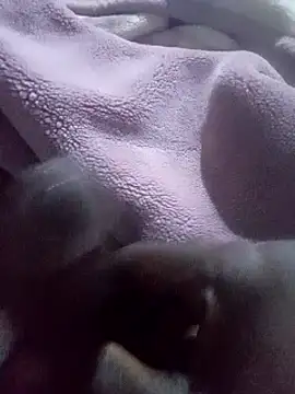 Big_dick0122 live