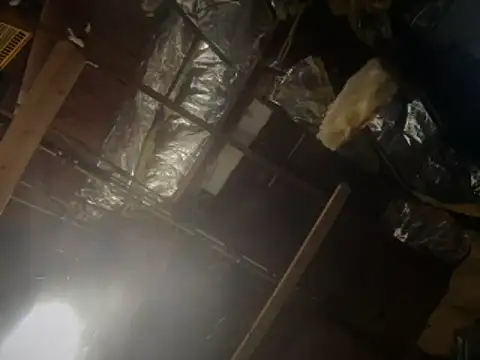 Jcalibwc556 live